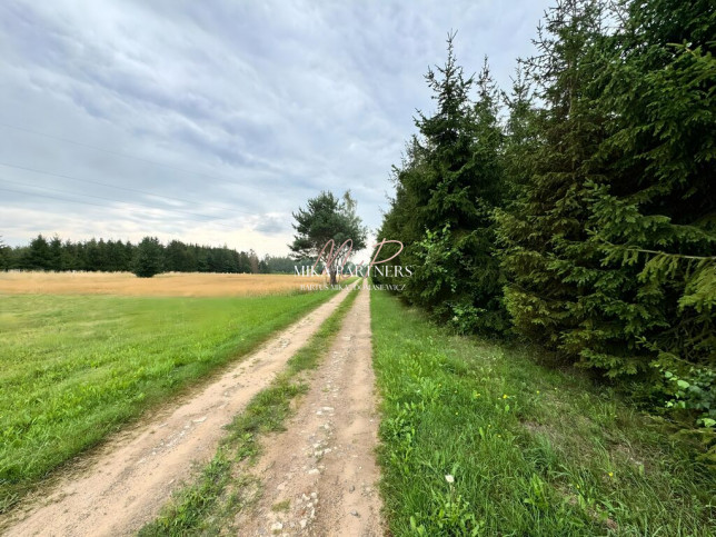 Działka Sprzedaż Gąba 4