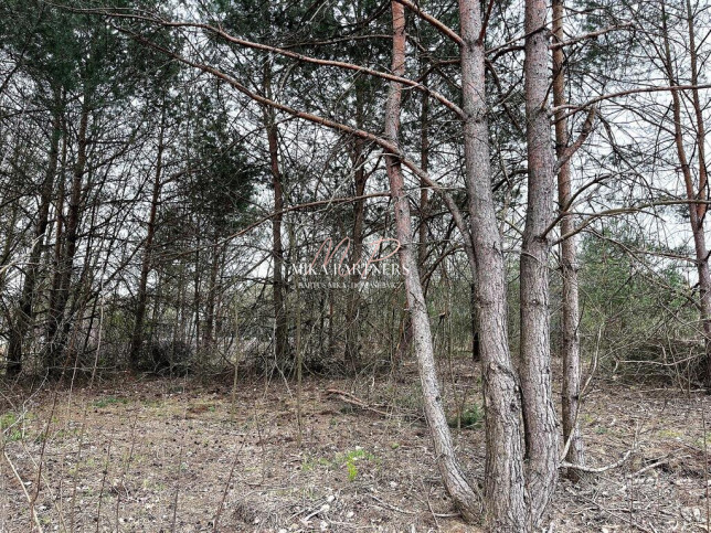 Działka Sprzedaż Piotrkowice 4