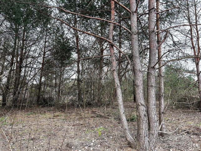 Działka Sprzedaż Piotrkowice 4