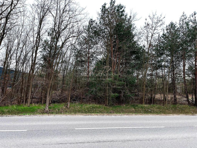 Działka Sprzedaż Piotrkowice 1