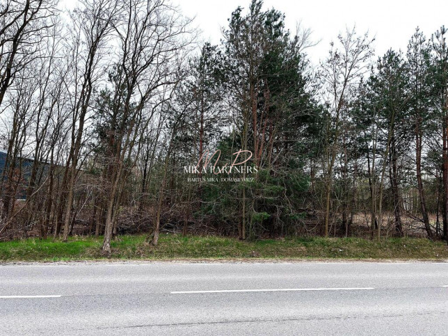 Działka Sprzedaż Piotrkowice 1