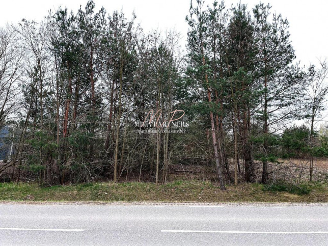 Działka Sprzedaż Piotrkowice 5