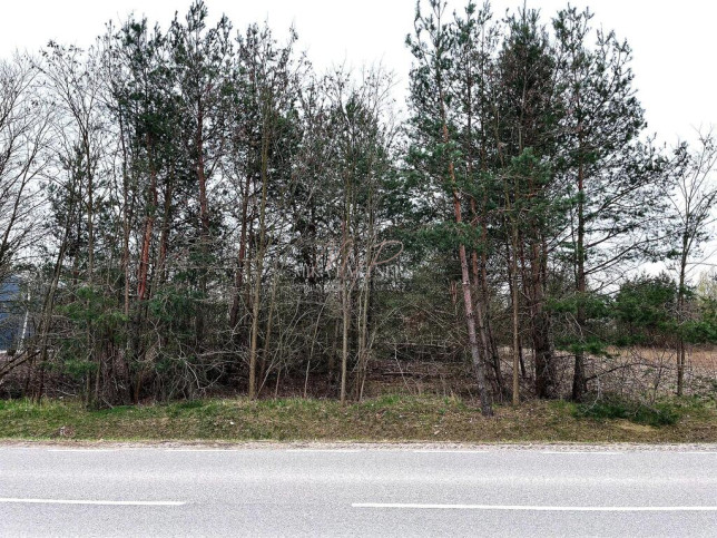 Działka Sprzedaż Piotrkowice 5