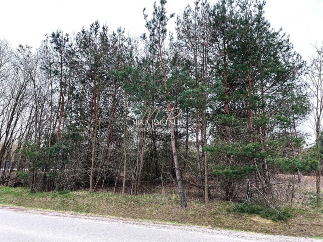 Działka Sprzedaż Piotrkowice 3
